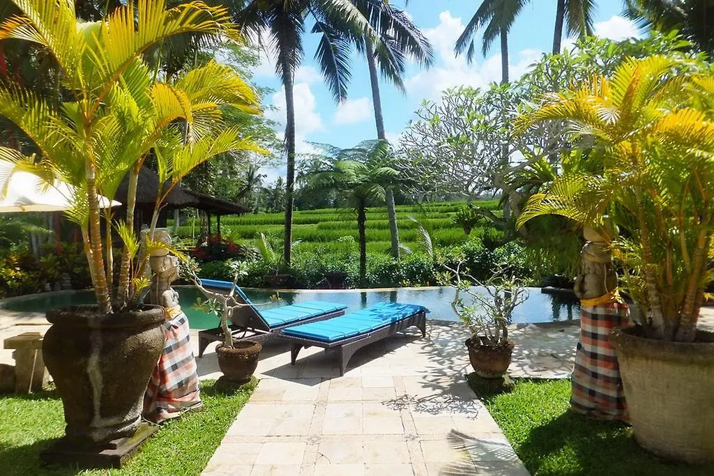 Villa Orchid Bali Ubud  0*, Ubud (Bali) Indonesia