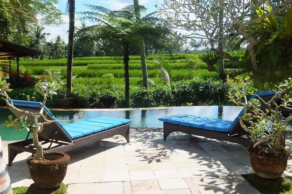 Villa Orchid Bali Ubud  Ubud (Bali)