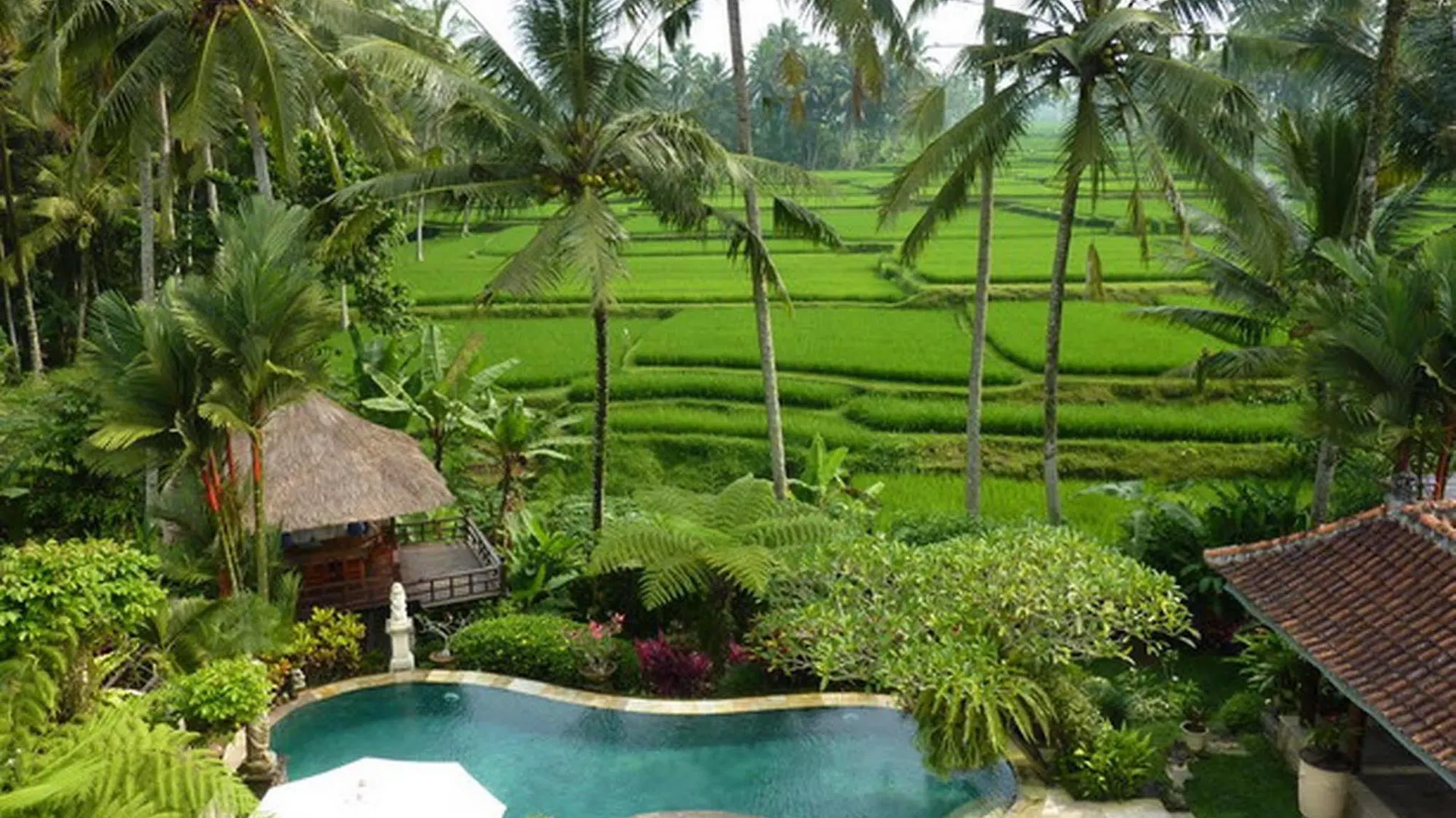 Villa Orchid Bali Ubud  Ubud (Bali)