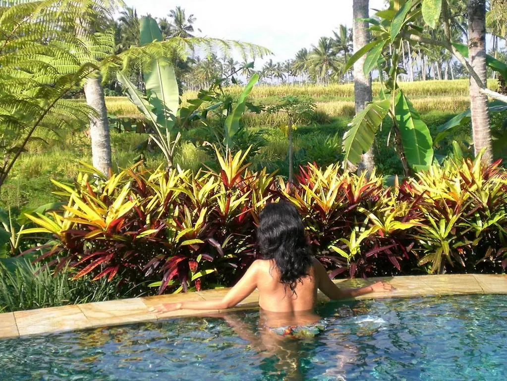 Villa Orchid Bali Ubud  Holiday home