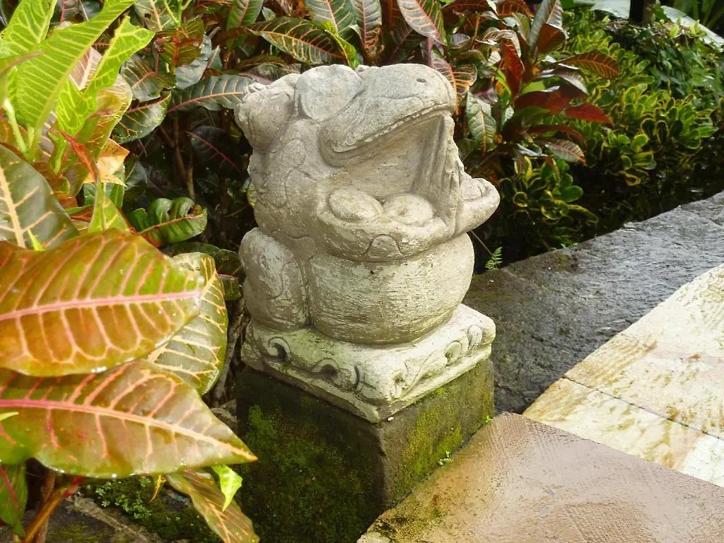 Semesterbostad Villa Orchid Bali Ubud