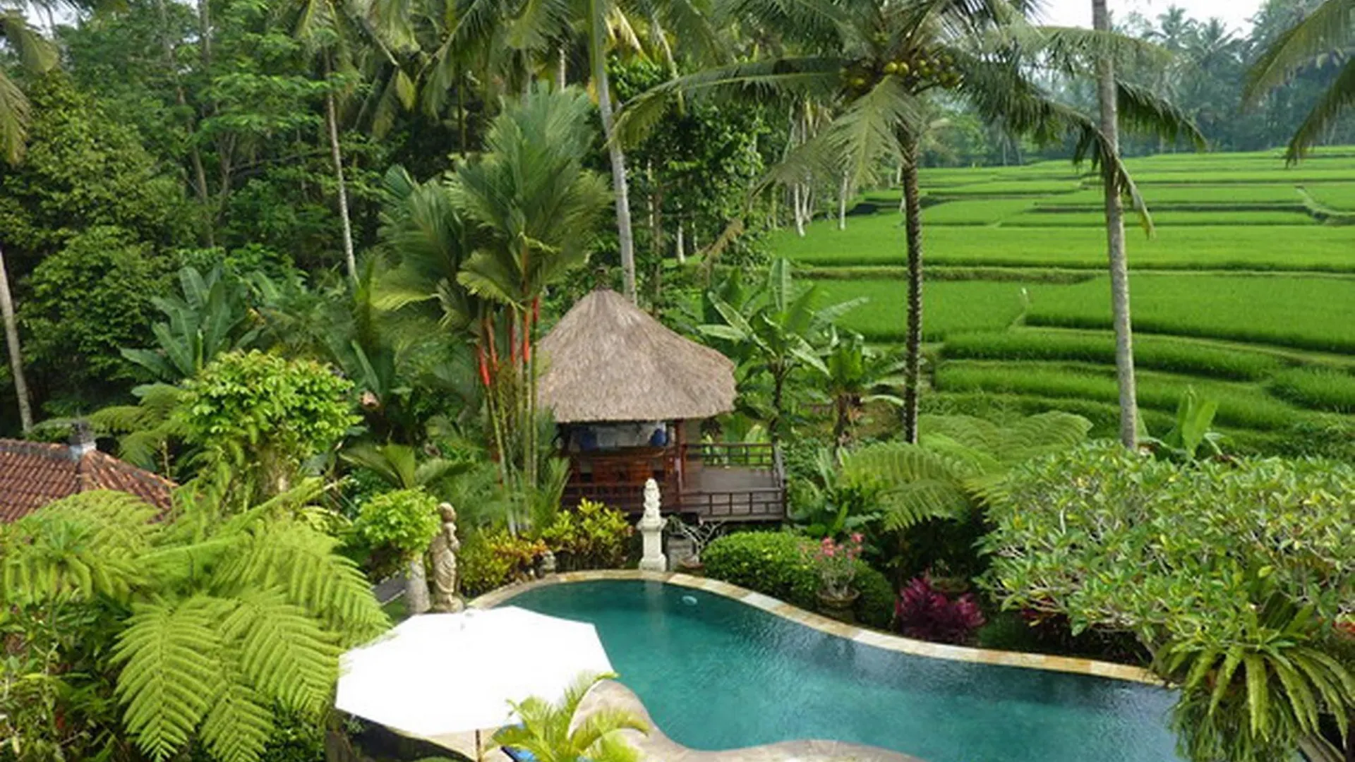 Villa Orchid Bali Ubud